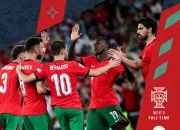 开云体育官方网站-欧国联赛：葡萄牙险胜列支敦士登的简单介绍