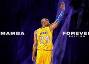 开云体育直播-绝境突围，布鲁诺在F1年度争冠之夜的涅槃之战