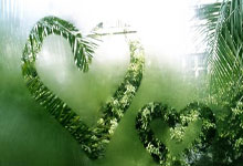 开云体育中国-国王大胜爵士，海尔德分率队击败东部劲旅的简单介绍