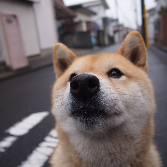 智利闪电与英超风暴，卡拉斯科如何从西甲速胜到主宰争冠战役